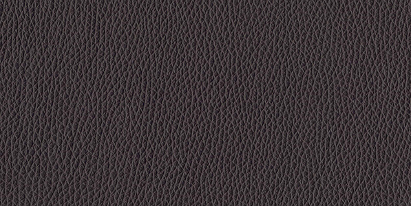 BELO - testa di moro 1604